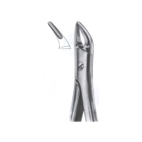  Extarcting Forceps 